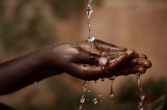 Rainwater harvesting at Coloma